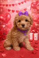 processed/d3f4dbf1-1047-48e8-b41c-dc33f195e145/listing/2732fc21-c7a5-48a1-9419-ecdd9fc08ed2/6e24abea-64ac-4582-bf79-9153eb2cf081