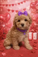 processed/d3f4dbf1-1047-48e8-b41c-dc33f195e145/listing/2732fc21-c7a5-48a1-9419-ecdd9fc08ed2/88f01c1b-a639-46a8-9123-656588b79ee1