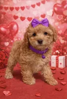 processed/d3f4dbf1-1047-48e8-b41c-dc33f195e145/listing/2732fc21-c7a5-48a1-9419-ecdd9fc08ed2/a4255dbe-94b3-4dd7-a175-dd4764732e30