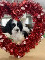 processed/d3f4dbf1-1047-48e8-b41c-dc33f195e145/listing/80c7c2dc-1882-4de4-8471-70362222eba3/03ad6216-d327-4346-8f8a-274f797212f6