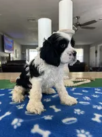 processed/d3f4dbf1-1047-48e8-b41c-dc33f195e145/listing/80c7c2dc-1882-4de4-8471-70362222eba3/33ef4fe4-5be5-4629-b546-d0f5f3b6256e