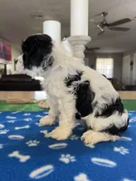 processed/d3f4dbf1-1047-48e8-b41c-dc33f195e145/listing/80c7c2dc-1882-4de4-8471-70362222eba3/4f0648cd-185f-4f2e-9c56-db2659ac3931