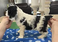 processed/d3f4dbf1-1047-48e8-b41c-dc33f195e145/listing/80c7c2dc-1882-4de4-8471-70362222eba3/67d45de4-6d59-4ea8-8eb6-73f34d6304ed