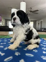 processed/d3f4dbf1-1047-48e8-b41c-dc33f195e145/listing/80c7c2dc-1882-4de4-8471-70362222eba3/831f45f6-3bb3-435b-b7fb-c62be1f6be07