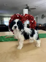 processed/d3f4dbf1-1047-48e8-b41c-dc33f195e145/listing/80c7c2dc-1882-4de4-8471-70362222eba3/968a6660-5840-45f4-a49a-13791d63c358