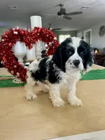 processed/d3f4dbf1-1047-48e8-b41c-dc33f195e145/listing/80c7c2dc-1882-4de4-8471-70362222eba3/97517c1a-e810-43ca-b0c4-f174a712d998