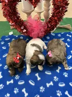 processed/d3f4dbf1-1047-48e8-b41c-dc33f195e145/listing/b174ceaa-c33f-4697-b614-85606bfad3d2/0634ba01-f2f2-48ac-bc2a-10f25c4f534f