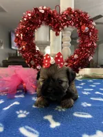 processed/d3f4dbf1-1047-48e8-b41c-dc33f195e145/listing/b174ceaa-c33f-4697-b614-85606bfad3d2/3f820cc2-22cc-41dd-9d4f-33bf9a171674