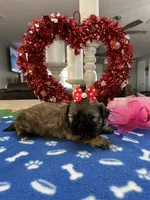 processed/d3f4dbf1-1047-48e8-b41c-dc33f195e145/listing/b174ceaa-c33f-4697-b614-85606bfad3d2/5554fab4-eb45-4b88-aefe-091c61865475