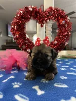 processed/d3f4dbf1-1047-48e8-b41c-dc33f195e145/listing/b174ceaa-c33f-4697-b614-85606bfad3d2/5bb7ef36-5cc7-4837-ae5b-3fcf5c678090