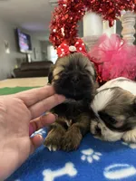 processed/d3f4dbf1-1047-48e8-b41c-dc33f195e145/listing/b174ceaa-c33f-4697-b614-85606bfad3d2/6a5ebf77-a687-4301-b27b-1286f0fc4e9b