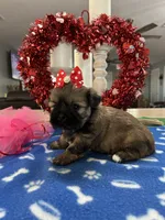 processed/d3f4dbf1-1047-48e8-b41c-dc33f195e145/listing/b174ceaa-c33f-4697-b614-85606bfad3d2/6b9b3d70-bfb5-4b5c-a639-2d55888a8b6d