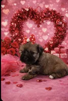 processed/d3f4dbf1-1047-48e8-b41c-dc33f195e145/listing/b174ceaa-c33f-4697-b614-85606bfad3d2/9041ed6a-7d94-4524-b583-9d1ea1c4e553