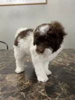 processed/d3f4dbf1-1047-48e8-b41c-dc33f195e145/listing/ebdd3647-8ade-4b2b-822d-f10d8acd1f57/6411dc8e-1d36-45e8-8709-76c8443c7bda