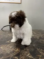 processed/d3f4dbf1-1047-48e8-b41c-dc33f195e145/listing/ebdd3647-8ade-4b2b-822d-f10d8acd1f57/72dab516-866f-4816-9deb-7c88bc93055e