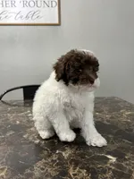 processed/d3f4dbf1-1047-48e8-b41c-dc33f195e145/listing/ebdd3647-8ade-4b2b-822d-f10d8acd1f57/83ab5521-c12c-458e-a3ed-fc38d876b4cc