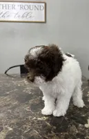 processed/d3f4dbf1-1047-48e8-b41c-dc33f195e145/listing/ebdd3647-8ade-4b2b-822d-f10d8acd1f57/a8dd8a85-4e47-4fd1-a5d1-178f3ce77595