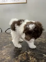 processed/d3f4dbf1-1047-48e8-b41c-dc33f195e145/listing/ebdd3647-8ade-4b2b-822d-f10d8acd1f57/bd99d741-997c-4885-9048-4f49ac863a57