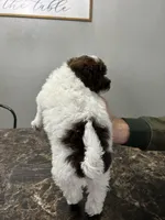 processed/d3f4dbf1-1047-48e8-b41c-dc33f195e145/listing/ebdd3647-8ade-4b2b-822d-f10d8acd1f57/d960a4e9-2ce8-4057-8be1-319069baef48