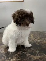 processed/d3f4dbf1-1047-48e8-b41c-dc33f195e145/listing/ebdd3647-8ade-4b2b-822d-f10d8acd1f57/f07756cf-8217-4f7b-b336-76abb31d54cc