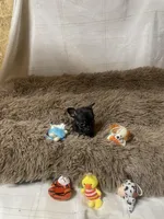 Samson, a male Chihuahua for sale in Shepherd, TX – Photo 6 of 6