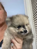 processed/d40a3093-de9f-4f42-88ea-61b8744aed7f/listing/b6449ef3-a3f4-43c4-8156-ff3c4dd03ec4/048f331e-8569-4636-bf93-feb39862215b