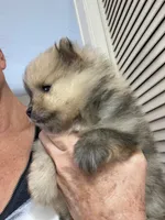 processed/d40a3093-de9f-4f42-88ea-61b8744aed7f/listing/b6449ef3-a3f4-43c4-8156-ff3c4dd03ec4/5a26cfd7-0fe1-4263-b73d-2bcef0dd95c0