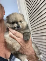 processed/d40a3093-de9f-4f42-88ea-61b8744aed7f/listing/b6449ef3-a3f4-43c4-8156-ff3c4dd03ec4/5ef2221e-11dd-4e6c-9549-73807281b2e1