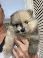 processed/d40a3093-de9f-4f42-88ea-61b8744aed7f/listing/b6449ef3-a3f4-43c4-8156-ff3c4dd03ec4/82d53bf2-5054-41cb-9363-5d52502fbbc2