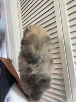 processed/d40a3093-de9f-4f42-88ea-61b8744aed7f/listing/b6449ef3-a3f4-43c4-8156-ff3c4dd03ec4/d648e1fe-5336-40ce-aae9-df066928e336