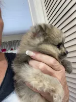 processed/d40a3093-de9f-4f42-88ea-61b8744aed7f/listing/b6449ef3-a3f4-43c4-8156-ff3c4dd03ec4/fb1bf08b-2124-4ae7-b824-ddab54e3bbfc