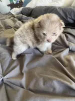 processed/d40a3093-de9f-4f42-88ea-61b8744aed7f/listing/e48e5258-1709-48f1-b9c4-f3a3c1d92109/328aee34-1c87-44f2-9380-6c2a65544310