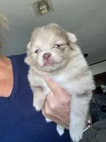 processed/d40a3093-de9f-4f42-88ea-61b8744aed7f/listing/e48e5258-1709-48f1-b9c4-f3a3c1d92109/40e83449-97c6-4a52-a19f-fc56d024478f