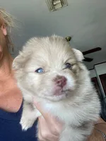 processed/d40a3093-de9f-4f42-88ea-61b8744aed7f/listing/e48e5258-1709-48f1-b9c4-f3a3c1d92109/41565ae9-9a42-46a0-97ec-a694b5abdadf