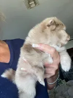 processed/d40a3093-de9f-4f42-88ea-61b8744aed7f/listing/e48e5258-1709-48f1-b9c4-f3a3c1d92109/54dadbb1-d4d5-4b77-8c04-efbfaf265322