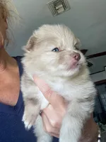 processed/d40a3093-de9f-4f42-88ea-61b8744aed7f/listing/e48e5258-1709-48f1-b9c4-f3a3c1d92109/746d848d-ab39-45b7-bc6d-5cfe1c68b549