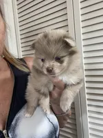 processed/d40a3093-de9f-4f42-88ea-61b8744aed7f/listing/e48e5258-1709-48f1-b9c4-f3a3c1d92109/78af3110-ea11-4c4c-ad43-c24899eba65e