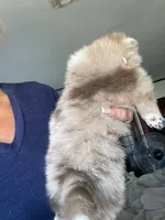 processed/d40a3093-de9f-4f42-88ea-61b8744aed7f/listing/e48e5258-1709-48f1-b9c4-f3a3c1d92109/a7c6d488-6017-4da2-9c93-401314eb0b23