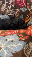Tucker, a male Havapoo for sale in Colorado Springs, CO – 4 of 6