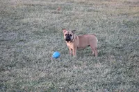 processed/d41a6976-1631-4681-9b10-7d9f76377f32/listing/ecc76ad4-40c0-42bf-b9b1-69fff909dff0/56479e23-fadf-473a-90f8-cfa0a2dabb5f