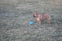 processed/d41a6976-1631-4681-9b10-7d9f76377f32/listing/ecc76ad4-40c0-42bf-b9b1-69fff909dff0/7acc72ac-5fb4-4155-839c-10793e217c02