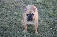 processed/d41a6976-1631-4681-9b10-7d9f76377f32/listing/ecc76ad4-40c0-42bf-b9b1-69fff909dff0/db51e261-1b1c-4b8d-a254-e858505c1b55