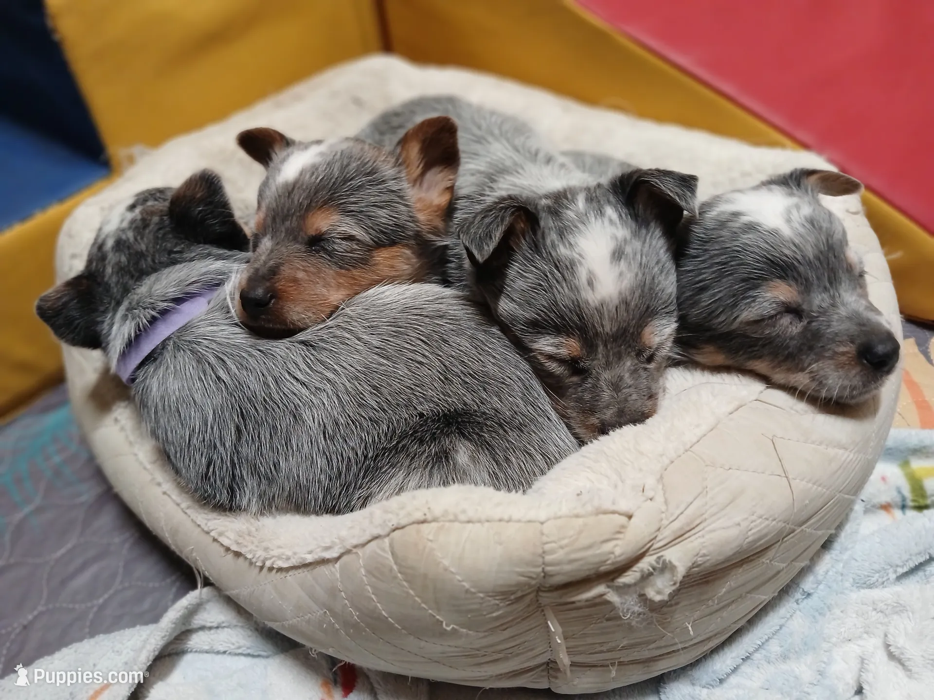 processed/d43e9349-ee4d-4de6-af67-2ff47dcc563b/listing/5af42c21-a92b-4a0c-8064-347210512d19/89829f79-0674-4727-9504-396e2c9b2cff