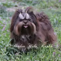 processed/d43f806e-8d80-4e17-9832-6d3bbf482bce/facility/291007c0-4be0-4688-9f89-2b4371cff2df