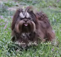 processed/d43f806e-8d80-4e17-9832-6d3bbf482bce/facility/291007c0-4be0-4688-9f89-2b4371cff2df