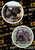 processed/d43f806e-8d80-4e17-9832-6d3bbf482bce/listing/c7362d19-b204-4adc-9174-1f0dab74856f/32c5b7ed-5563-4f3b-bfd2-4537962f7047