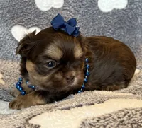 processed/d43f806e-8d80-4e17-9832-6d3bbf482bce/listing/c7362d19-b204-4adc-9174-1f0dab74856f/35f81683-fc39-4bf2-b36b-80eb45263d2a