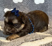 processed/d43f806e-8d80-4e17-9832-6d3bbf482bce/listing/c7362d19-b204-4adc-9174-1f0dab74856f/caa39c07-a577-434c-b7dc-64a2407b868d