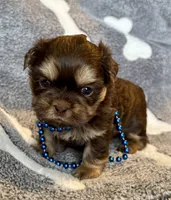 processed/d43f806e-8d80-4e17-9832-6d3bbf482bce/listing/c7362d19-b204-4adc-9174-1f0dab74856f/f6f3cf9e-a2fc-4337-8440-bc308e7685e6