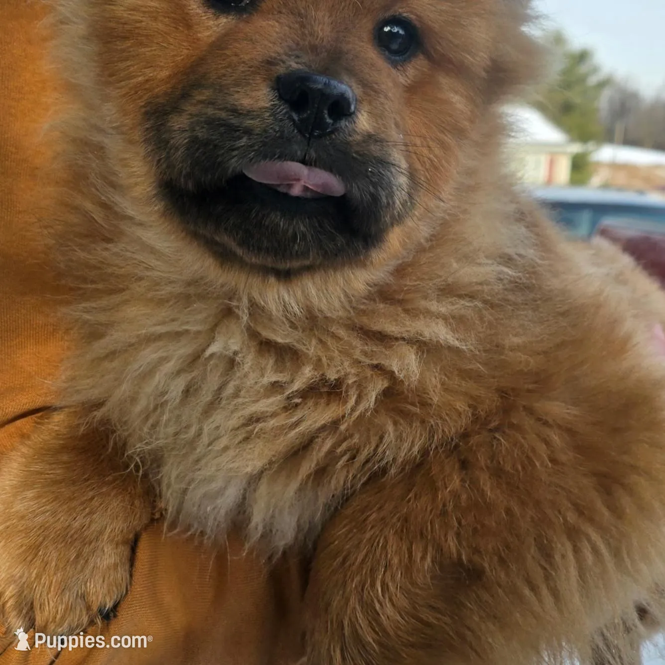 processed/d4658212-13bb-46cd-af20-e7982656373e/listing/d8dcc5c4-ae90-489d-baef-c49ecef0423d/41d48ae8-1e52-413f-bbc7-6b359fc4c17f